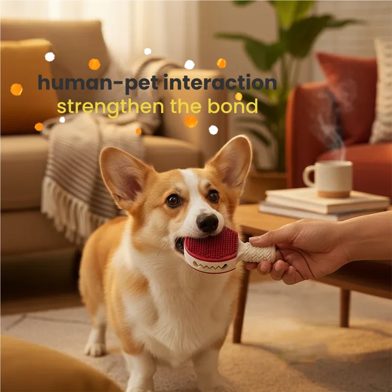 Dog Toy Badminton Ball, Unbrea - Badminton Bwf 评论和价格